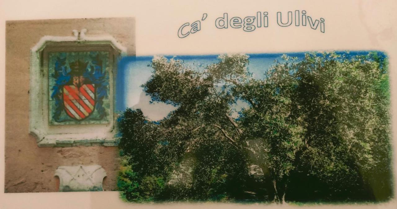 菲纳莱利古雷 Ca Degli Ulivi酒店 外观 照片