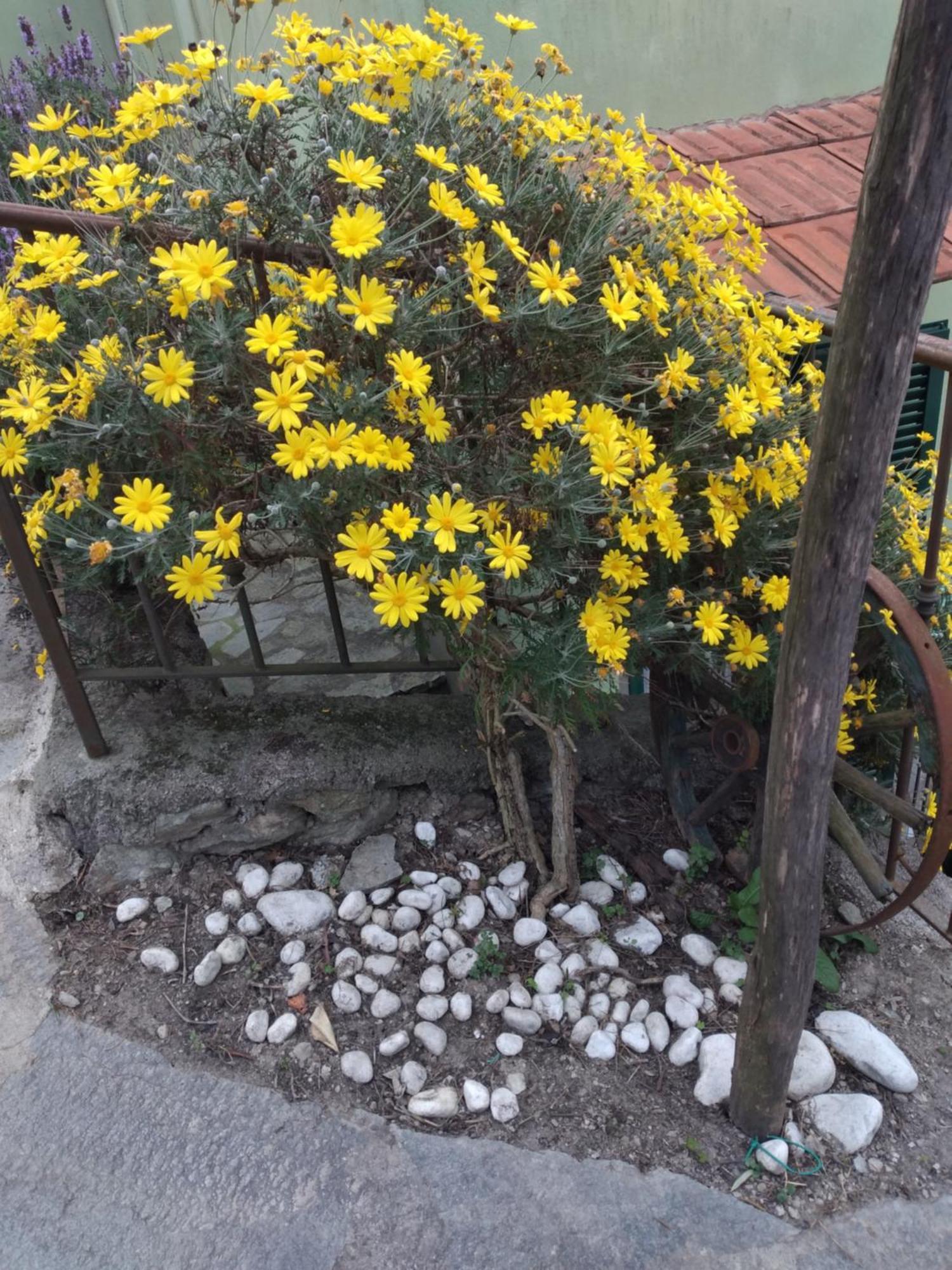 菲纳莱利古雷 Ca Degli Ulivi酒店 外观 照片